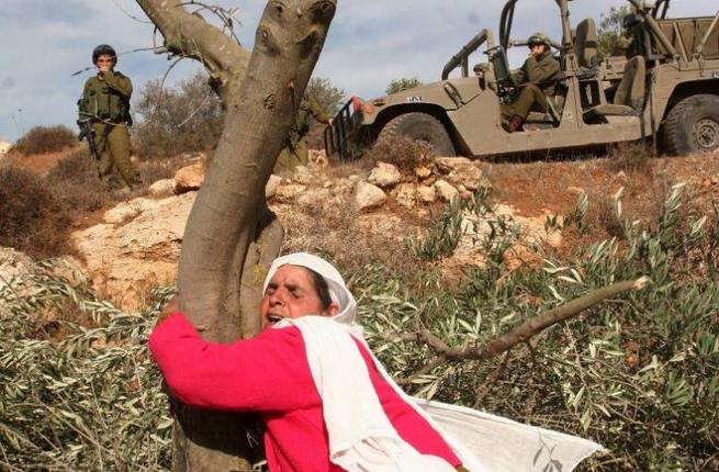 في ذكرى يوم الأرض - 312 شهيدا منهم 57 من الأطفال وثلاث سيدات 